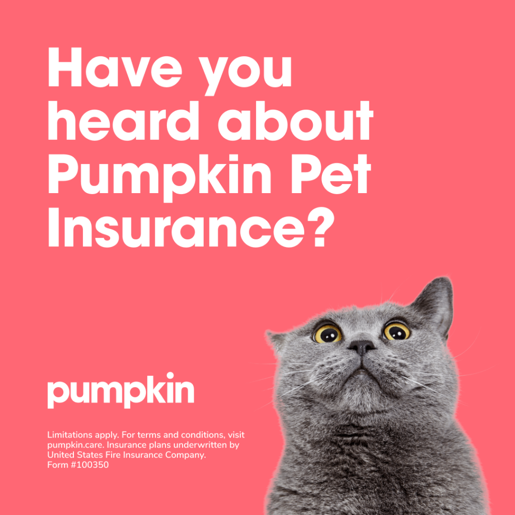 Pet Insurance | Main Street Veterinary Clinic